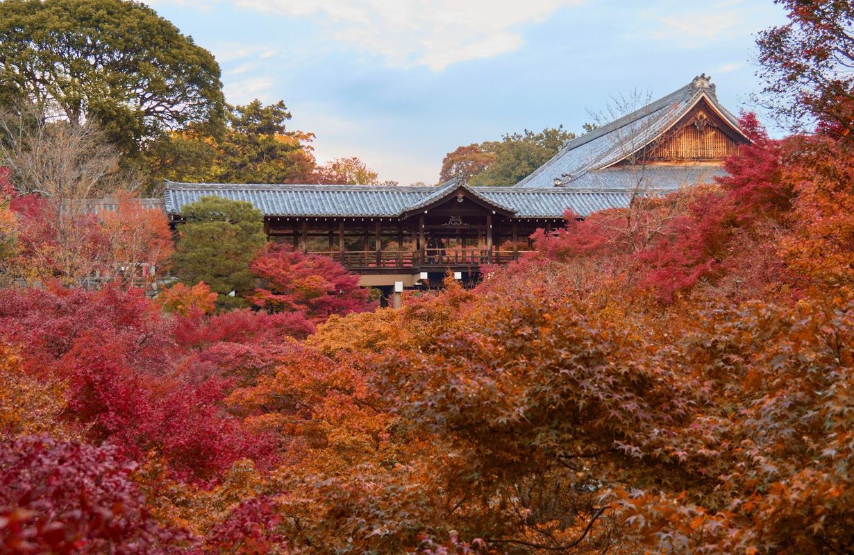 Tōfuku-ji in Kyoto mit roter Herbstlaubfärbung im November