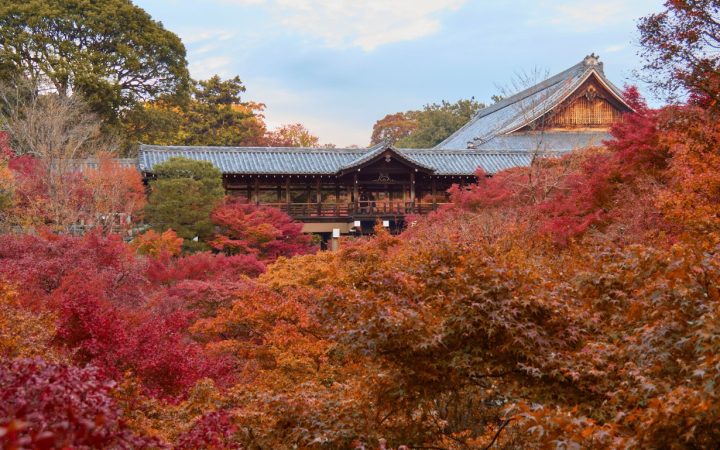 Tōfuku-ji in Kyoto mit roter Herbstlaubfärbung im November